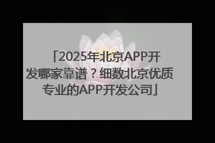 2025年北京APP开发哪家靠谱？细数北京优质专业的APP开发公司