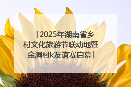 2025年湖南省乡村文化旅游节联动地暨金洞村k友谊赛启幕
