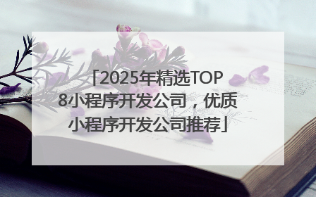 2025年精选TOP8小程序开发公司，优质小程序开发公司推荐