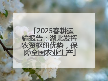 2025春耕运输报告：湖北发挥农资枢纽优势，保障全国农业生产