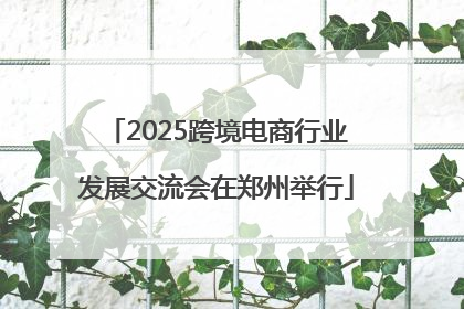 2025跨境电商行业发展交流会在郑州举行