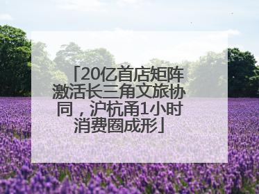 20亿首店矩阵激活长三角文旅协同，沪杭甬1小时消费圈成形