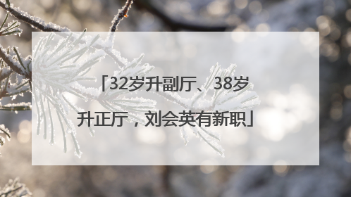 32岁升副厅、38岁升正厅，刘会英有新职