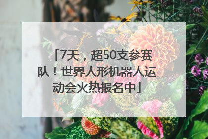 7天，超50支参赛队！世界人形机器人运动会火热报名中