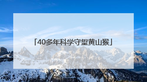 40多年科学守望黄山猴
