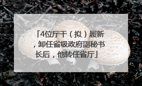4位厅干（拟）履新，卸任省级政府副秘书长后，他转任省厅