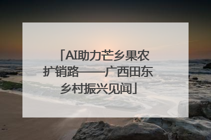 AI助力芒乡果农扩销路——广西田东乡村振兴见闻