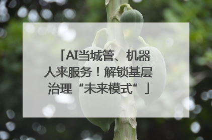 AI当城管、机器人来服务！解锁基层治理“未来模式”