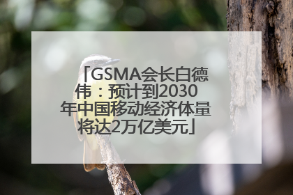 GSMA会长白德伟：预计到2030年中国移动经济体量将达2万亿美元