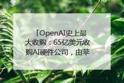 OpenAI史上最大收购：65亿美元收购AI硬件公司，由苹果前设计总监创办
