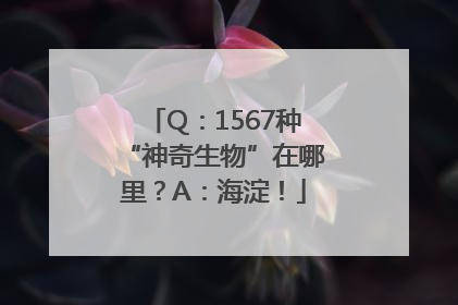 Q：1567种“神奇生物”在哪里？A：海淀！