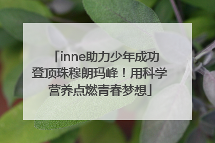 inne助力少年成功登顶珠穆朗玛峰！用科学营养点燃青春梦想